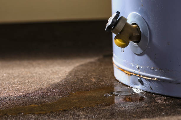 Best Water damage restoration services  in Moapa Valley, NV