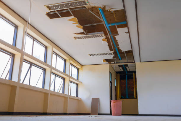 Best Ceiling water damage repair  in Moapa Valley, NV