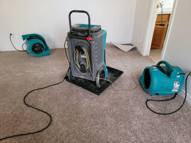 Best Emergency water damage restoration  in Moapa Valley, NV