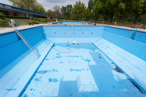 Best Flood restoration services  in Moapa Valley, NV