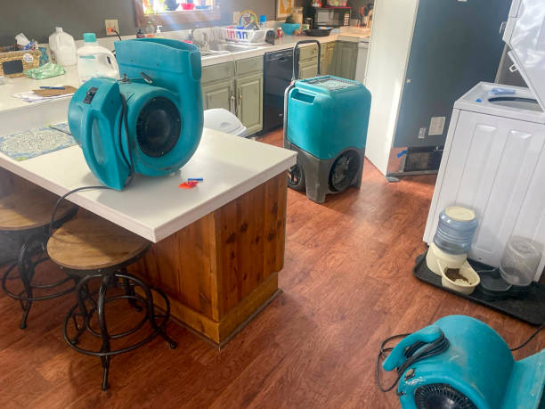Best Water damage restoration experts  in Moapa Valley, NV