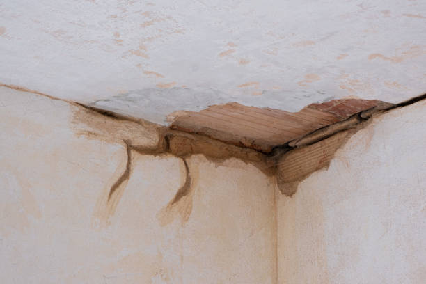Best Commercial water damage restoration  in Moapa Valley, NV