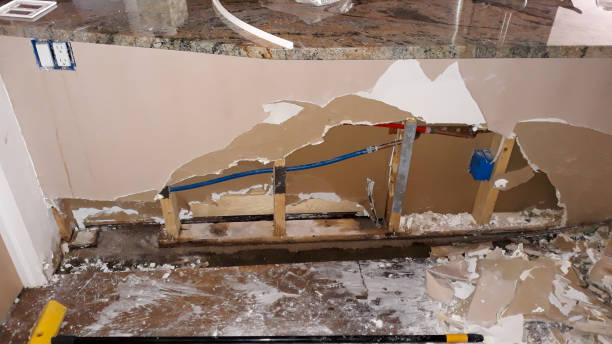 Best Water damage restoration near me  in Moapa Valley, NV