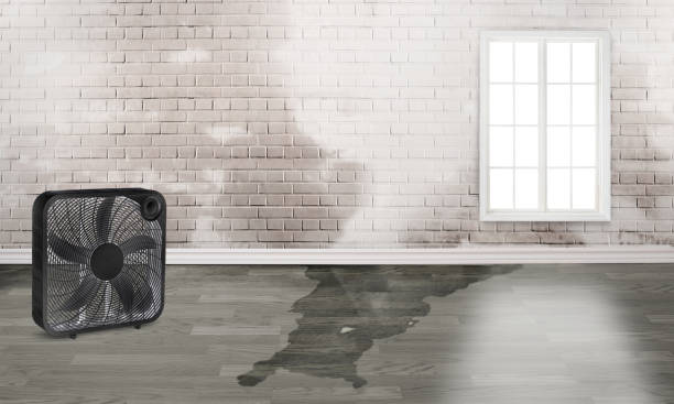 Best Residential water damage restoration  in Moapa Valley, NV