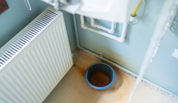 Best Water damage contractors near me  in Moapa Valley, NV