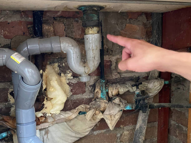 Best Water damage restoration near me  in Moapa Valley, NV