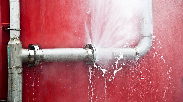 Best Water damage restoration cost  in Moapa Valley, NV